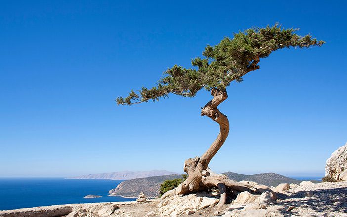 Natural monument in Rhodes with the sea view