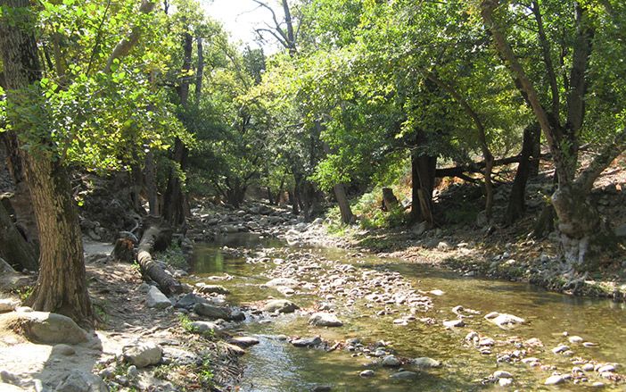 Greenish path and rivers in Samothrace island