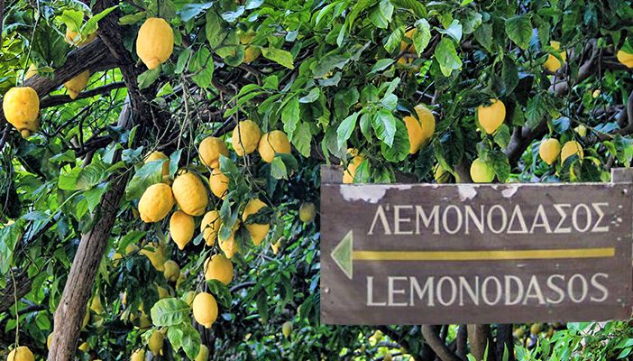 Lemon Forest in Poros Island