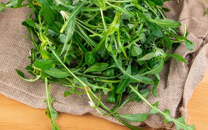 Stamnagathi greens have significant nutritional value